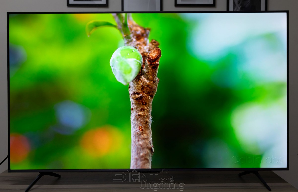 TCL C6K QD-Mini LED TV: hơn cả sự phù hợp