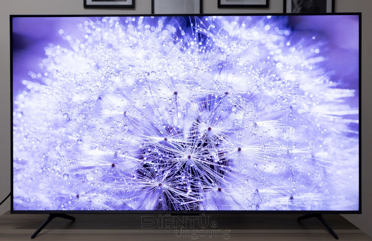 TCL C6K QD-Mini LED TV: hơn cả sự phù hợp