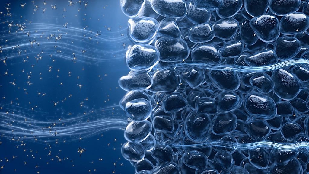 BYD ra mắt pin Blade thế hệ 2: sạc từ 10% lên 70% chỉ trong 5 phút, chạy được hơn 1.000 km