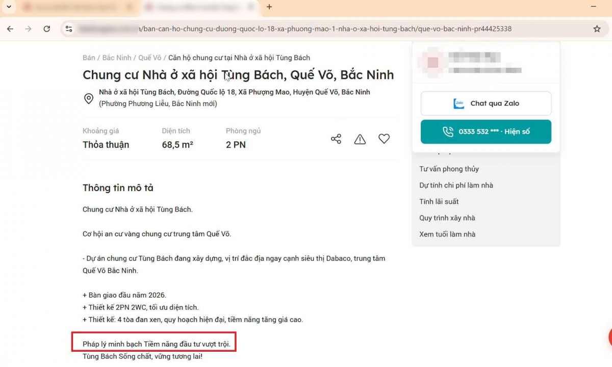 Web bất động sản thổi giá nhà ở xã hội gây nhiễu loạn thị trường