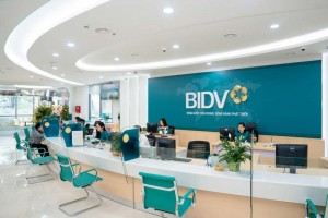 Thanh tra chỉ ra thiếu sót trong một số hồ sơ tín dụng tại BIDV Kon Tum
