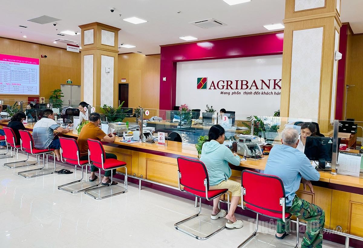 Một ngân hàng big 4 còn tồn tại trong bảo đảm tiền vay, kiểm tra sử dụng vốn