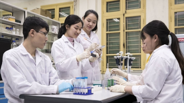Nhóm nghiên cứu mạnh tại đại học sẽ được đánh giá theo tiêu chí nào?